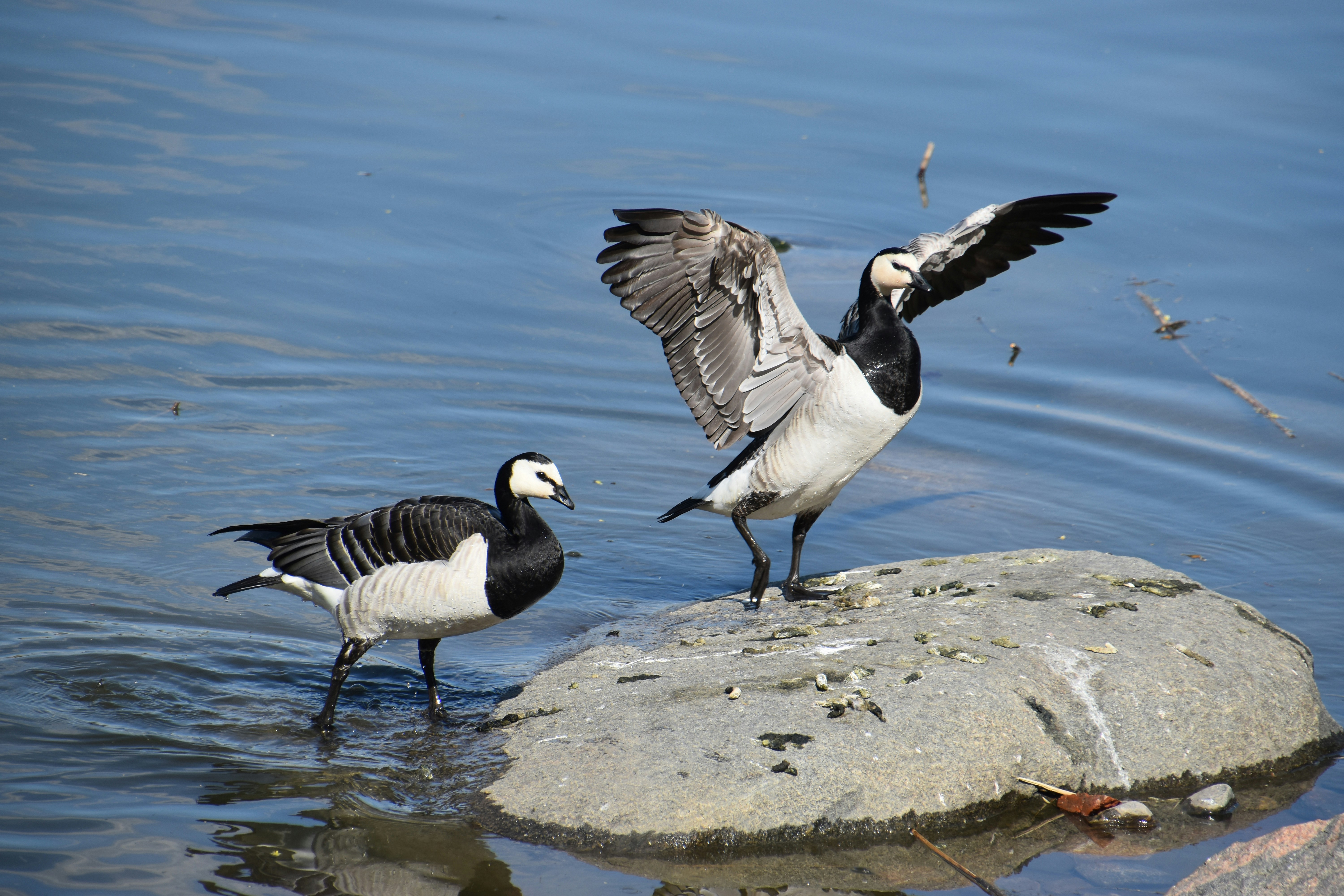 Photo by andras_ratonyi