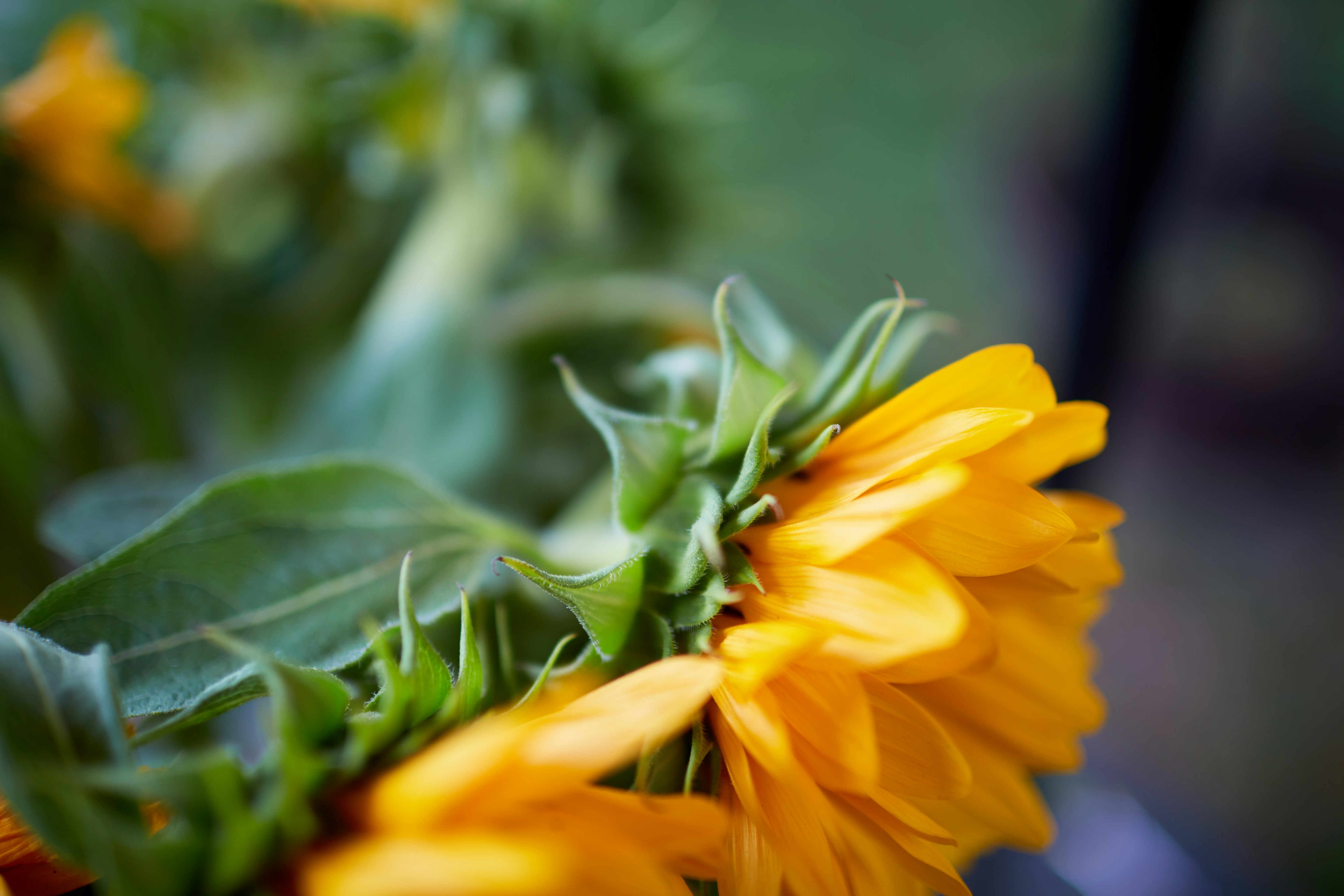 Photo by davidtoddmccarty