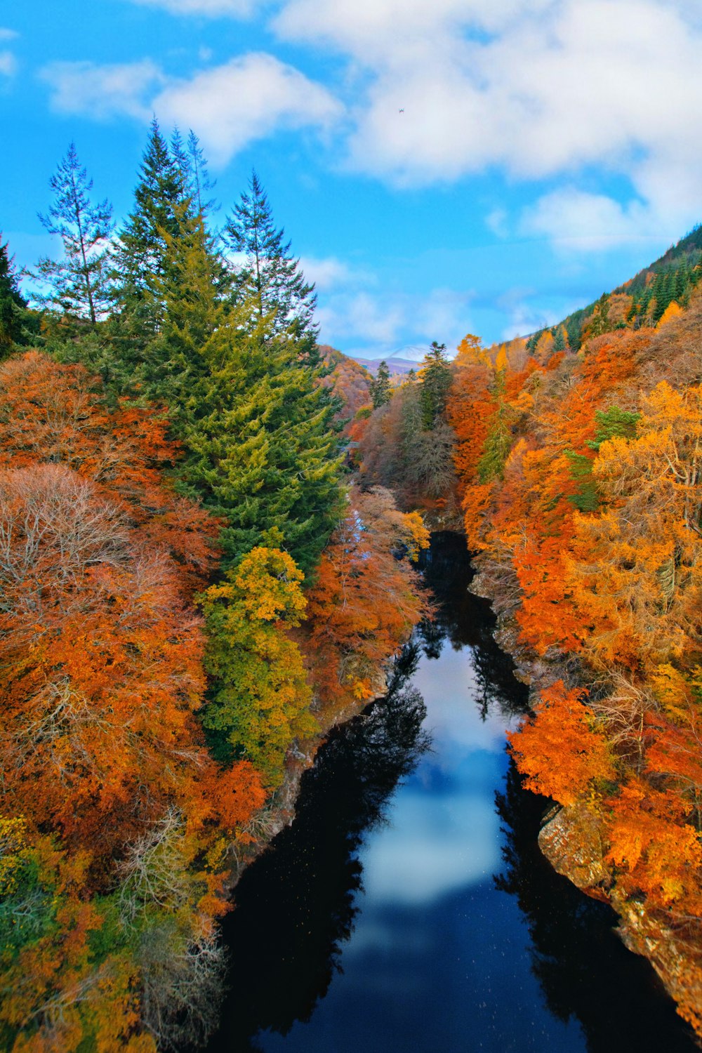 alberi verdi e marroni accanto al fiume sotto il cielo blu durante il giorno