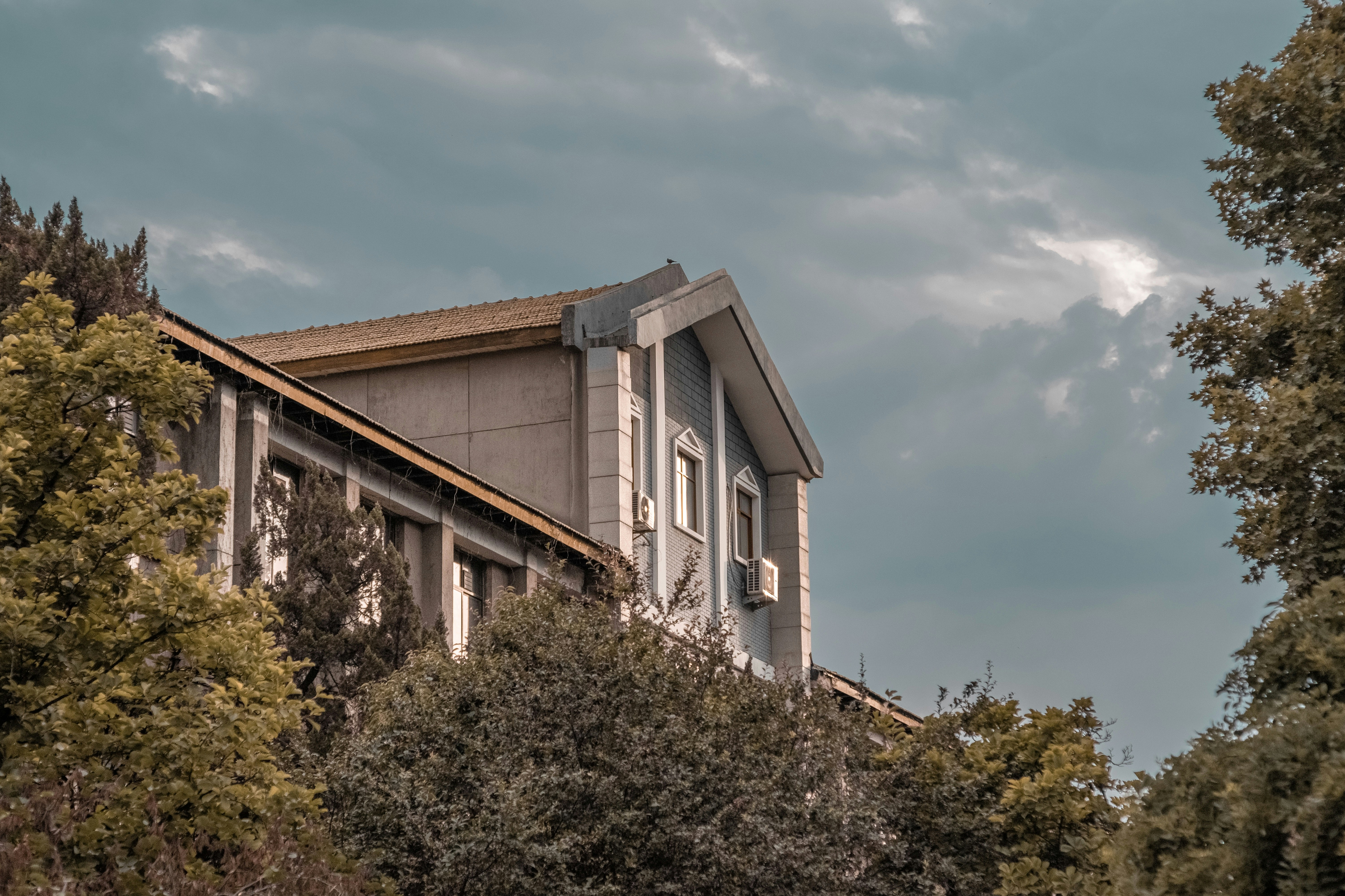 Photo by frozenmilkytea