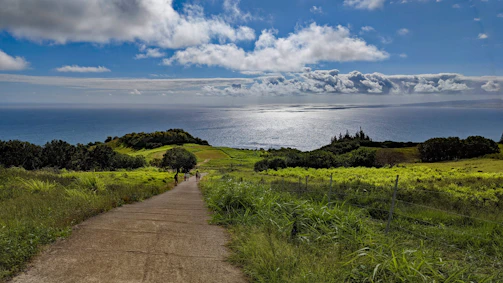 A visionary path representing long-term sustainable development