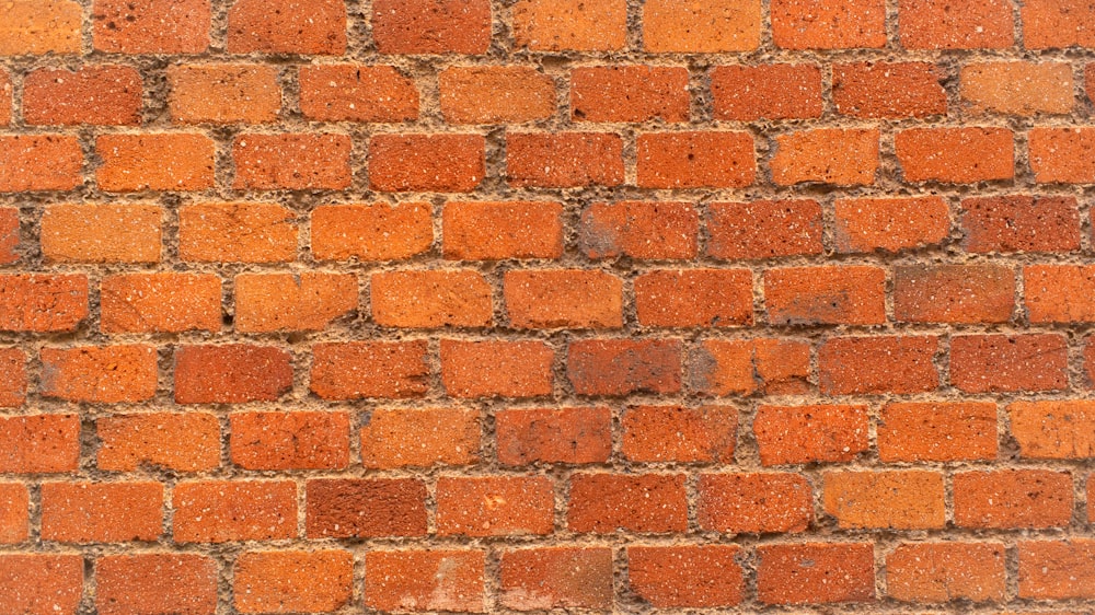 brown and white brick wall