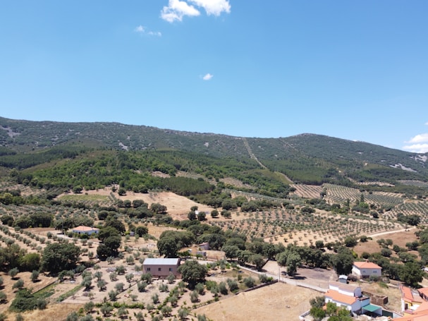 A picturesque rural landscape with rolling hills in the background and a clear blue sky. The foreground features olive groves, interspersed with small houses and farm buildings. The terrain is a mix of green vegetation and dry, earthy patches, indicating a Mediterranean climate.