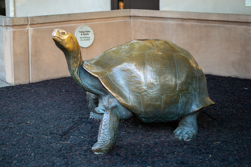 brown turtle figurine on blue textile