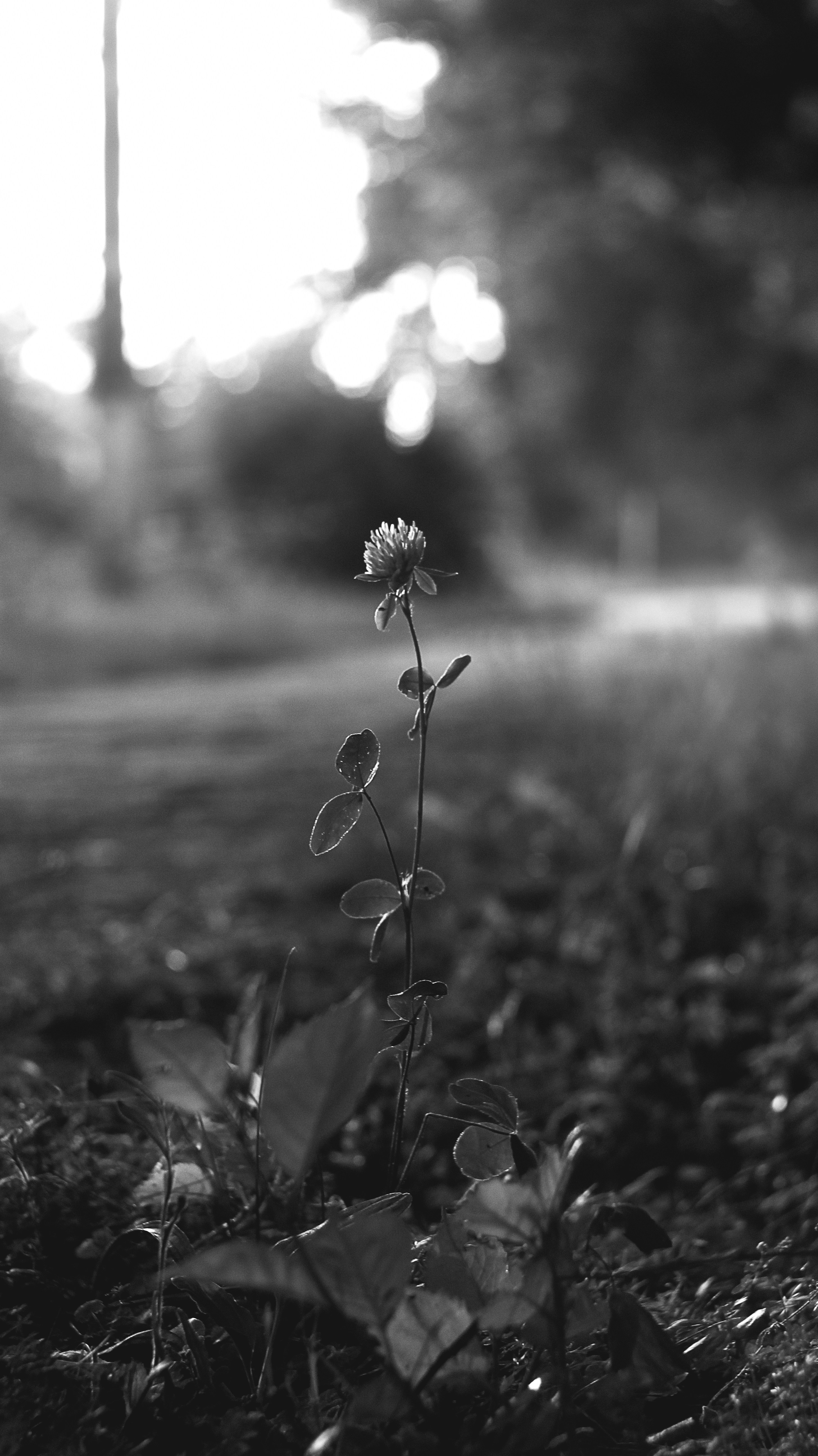 Photo by iamfrancismorgan