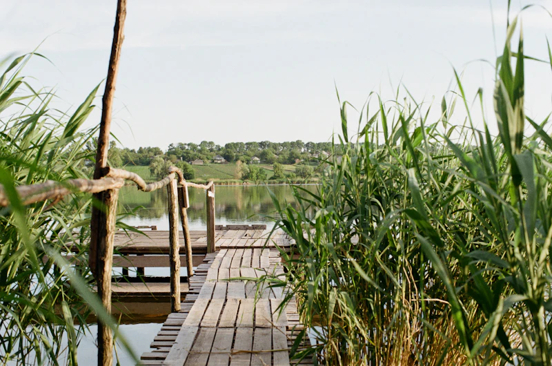 Brown wooden dock on a lake during daytime