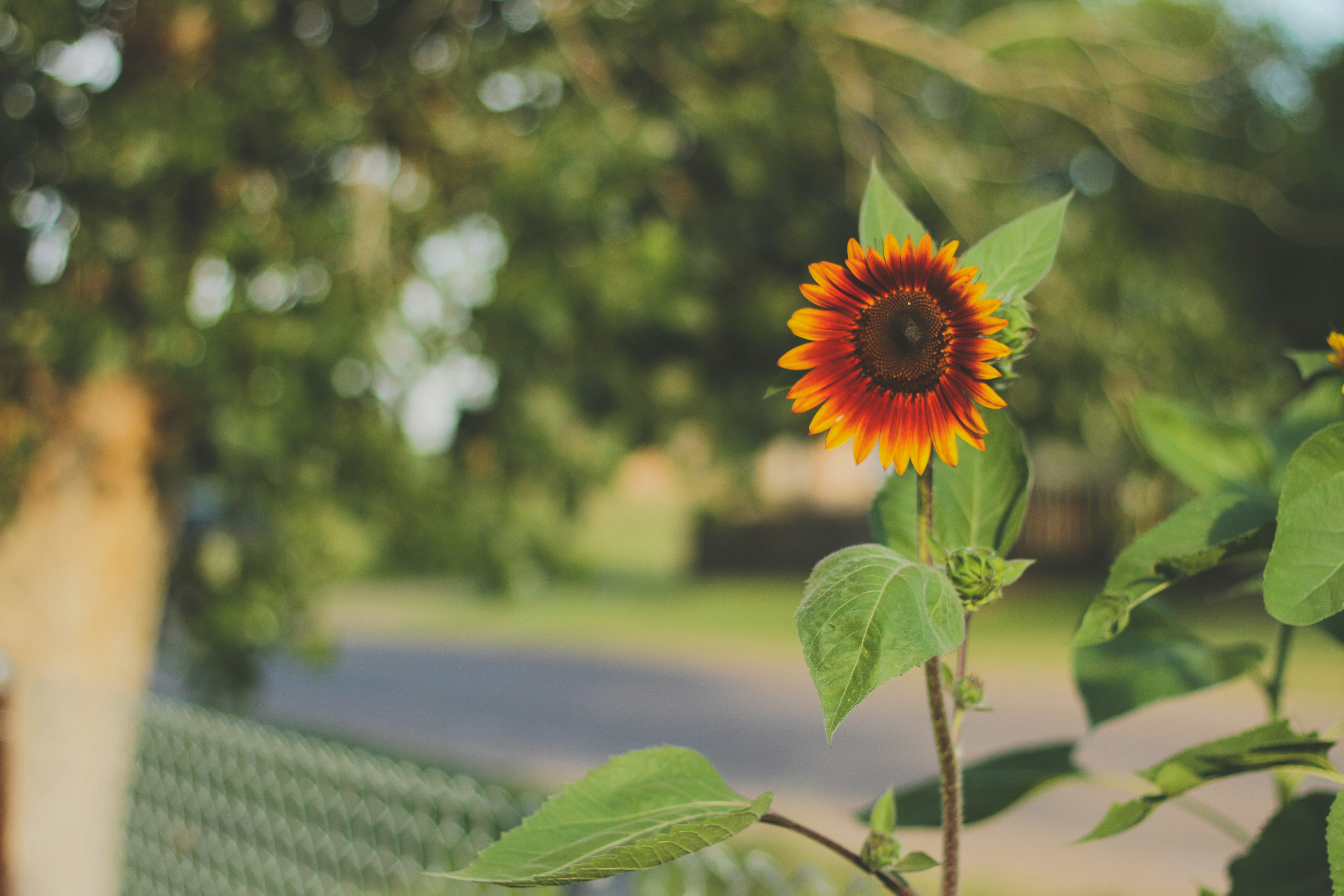 Photo by pqcrtivephoto