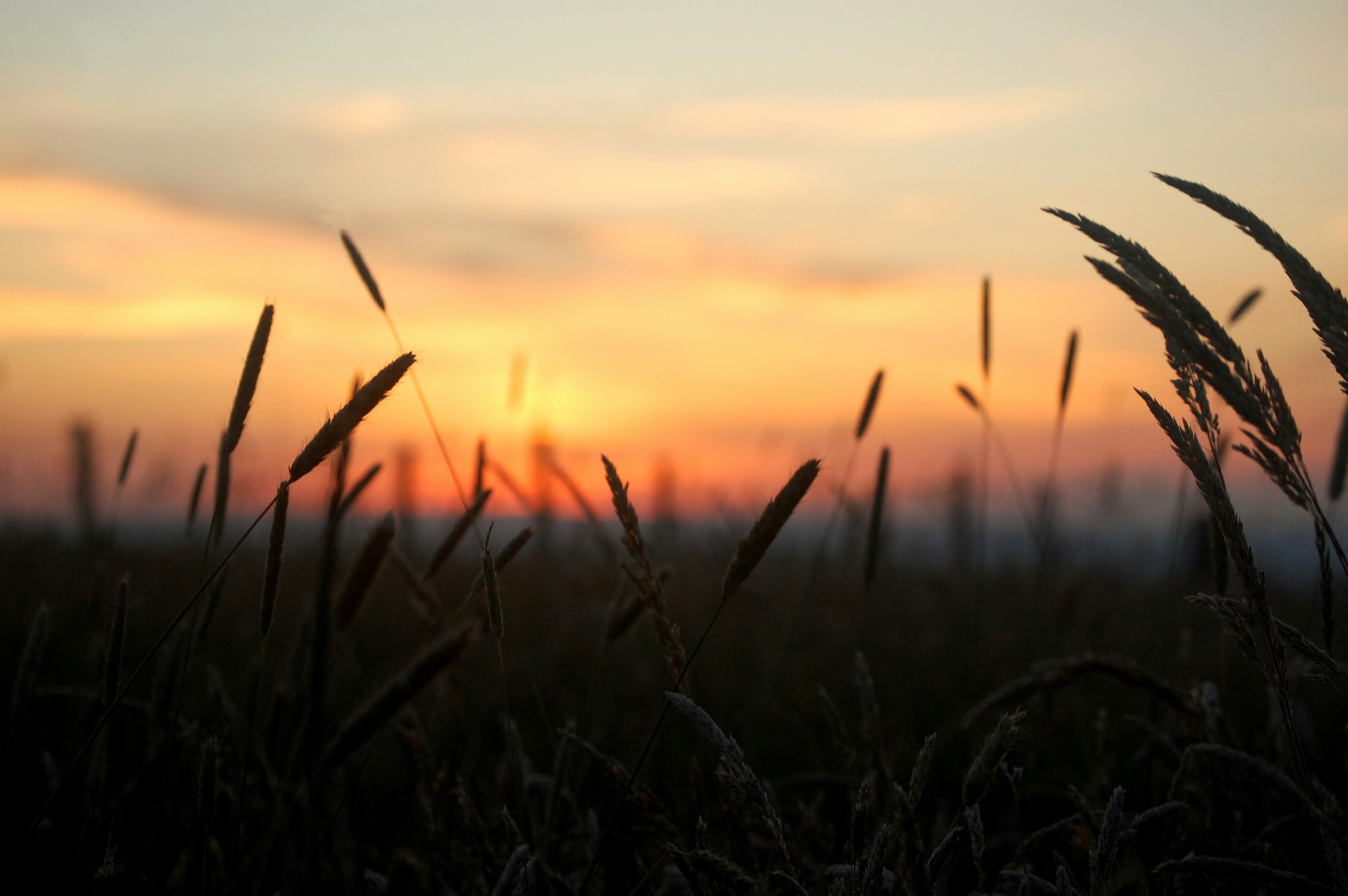 Photo by grace_proctor