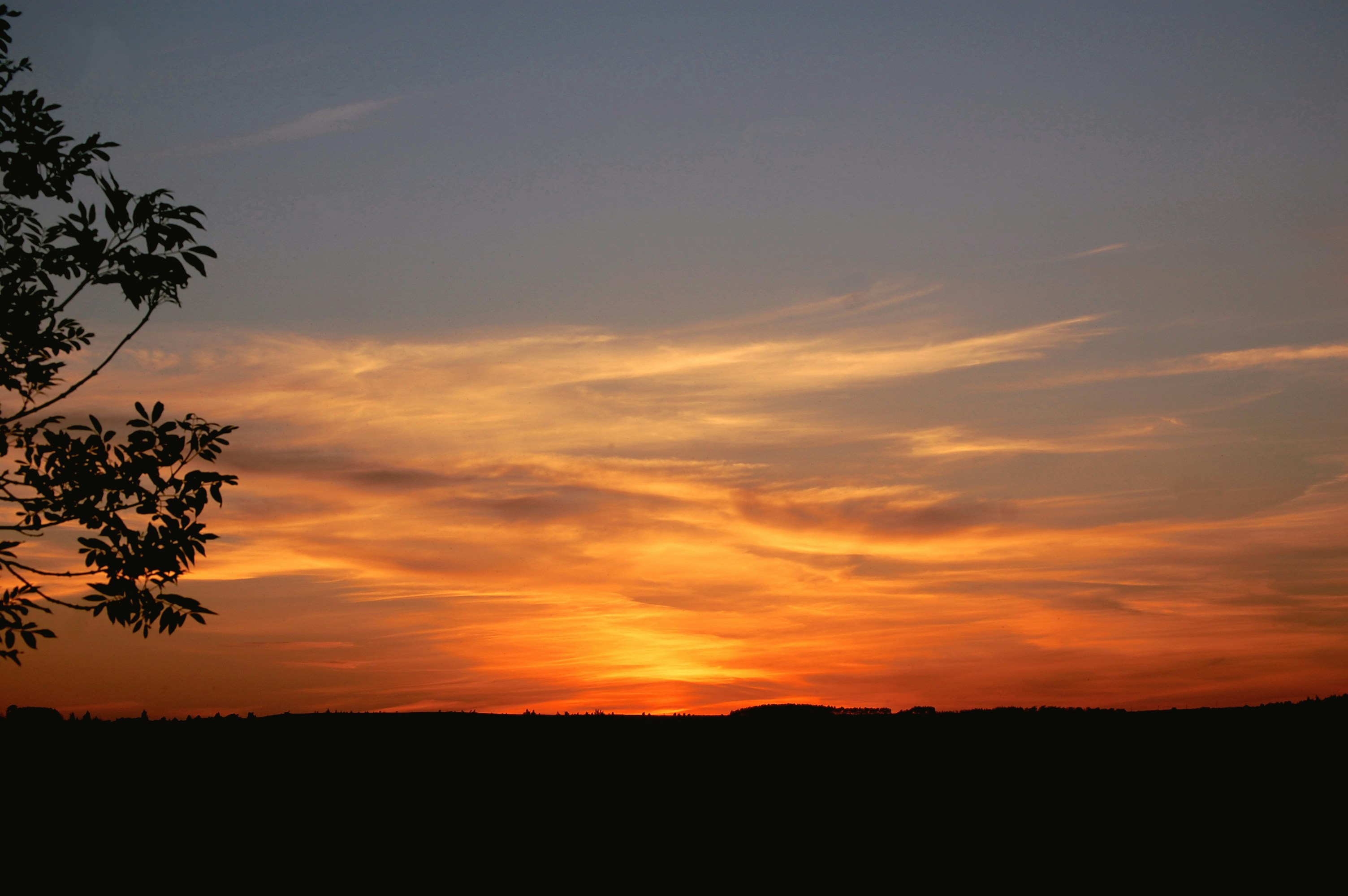 Photo by grace_proctor