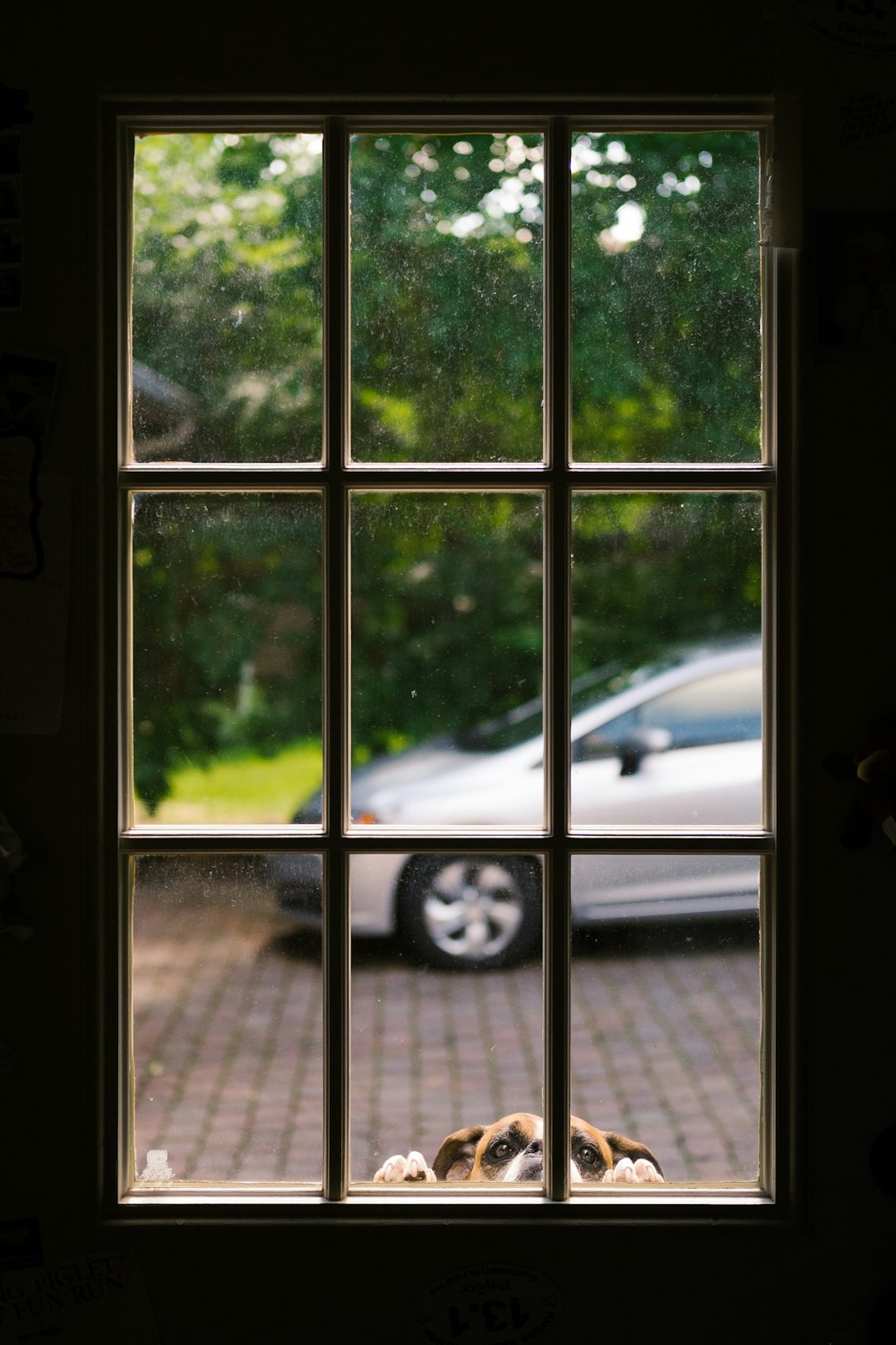 white car parked near green trees during daytime