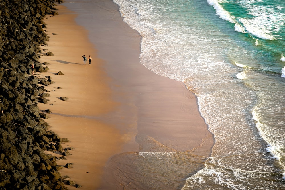 people on beach during daytime