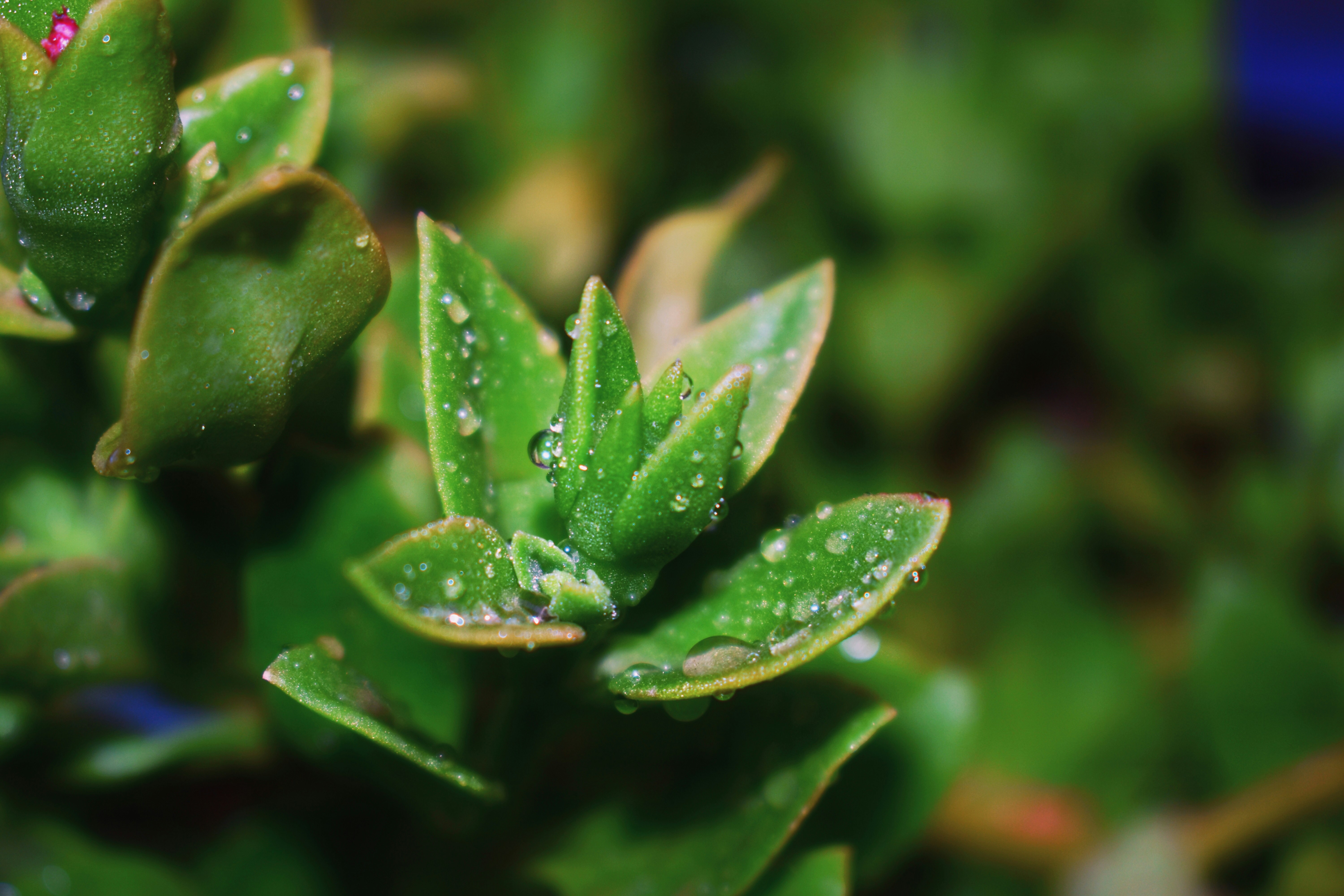 Photo by vierravincent