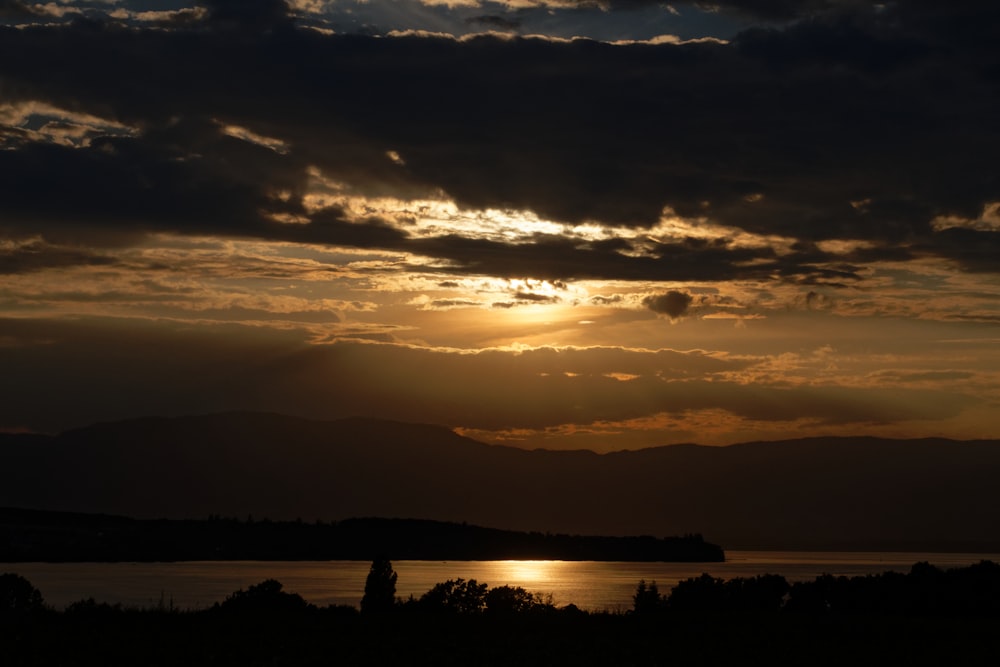 silhouette of trees during sunset