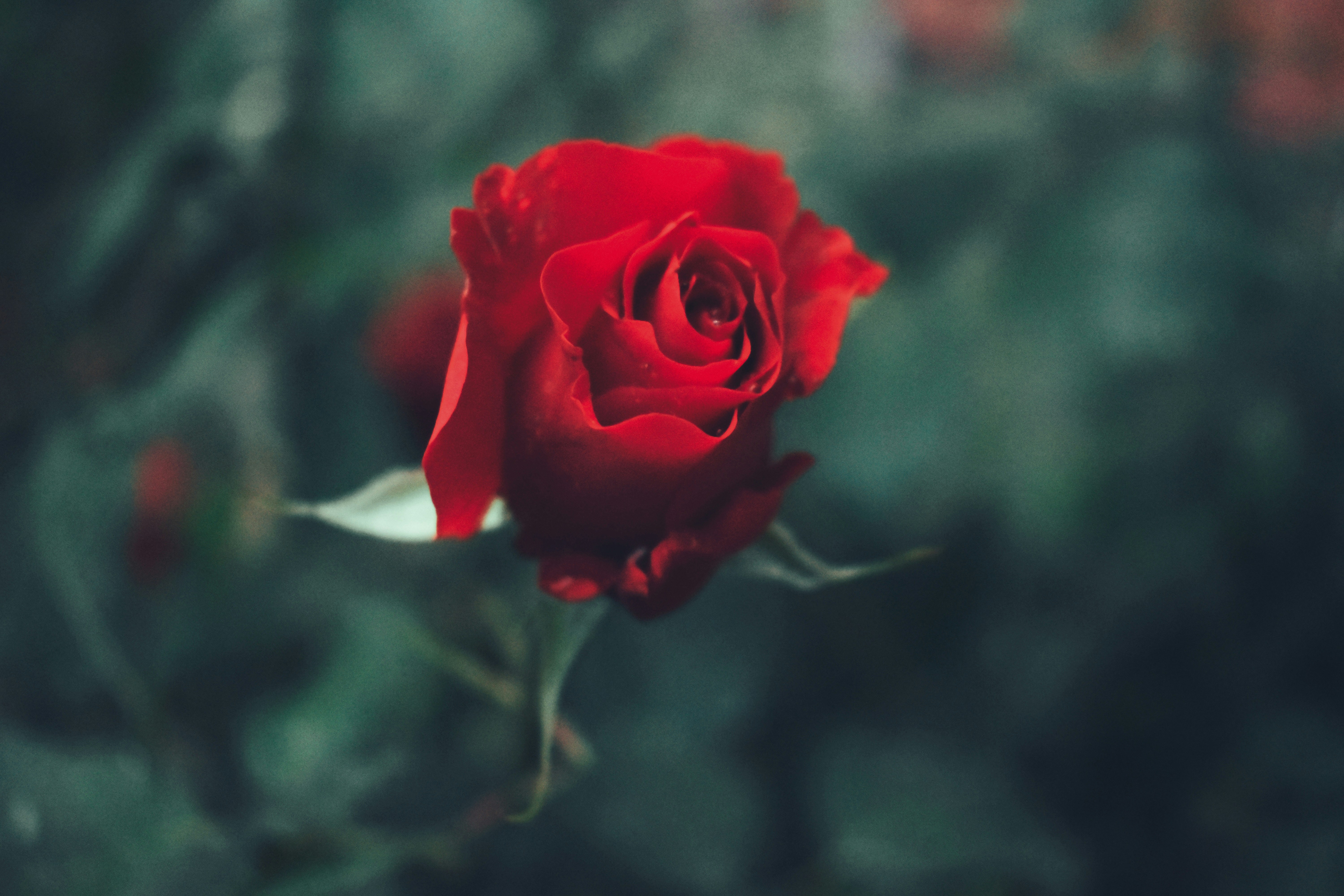 Photo by vierravincent