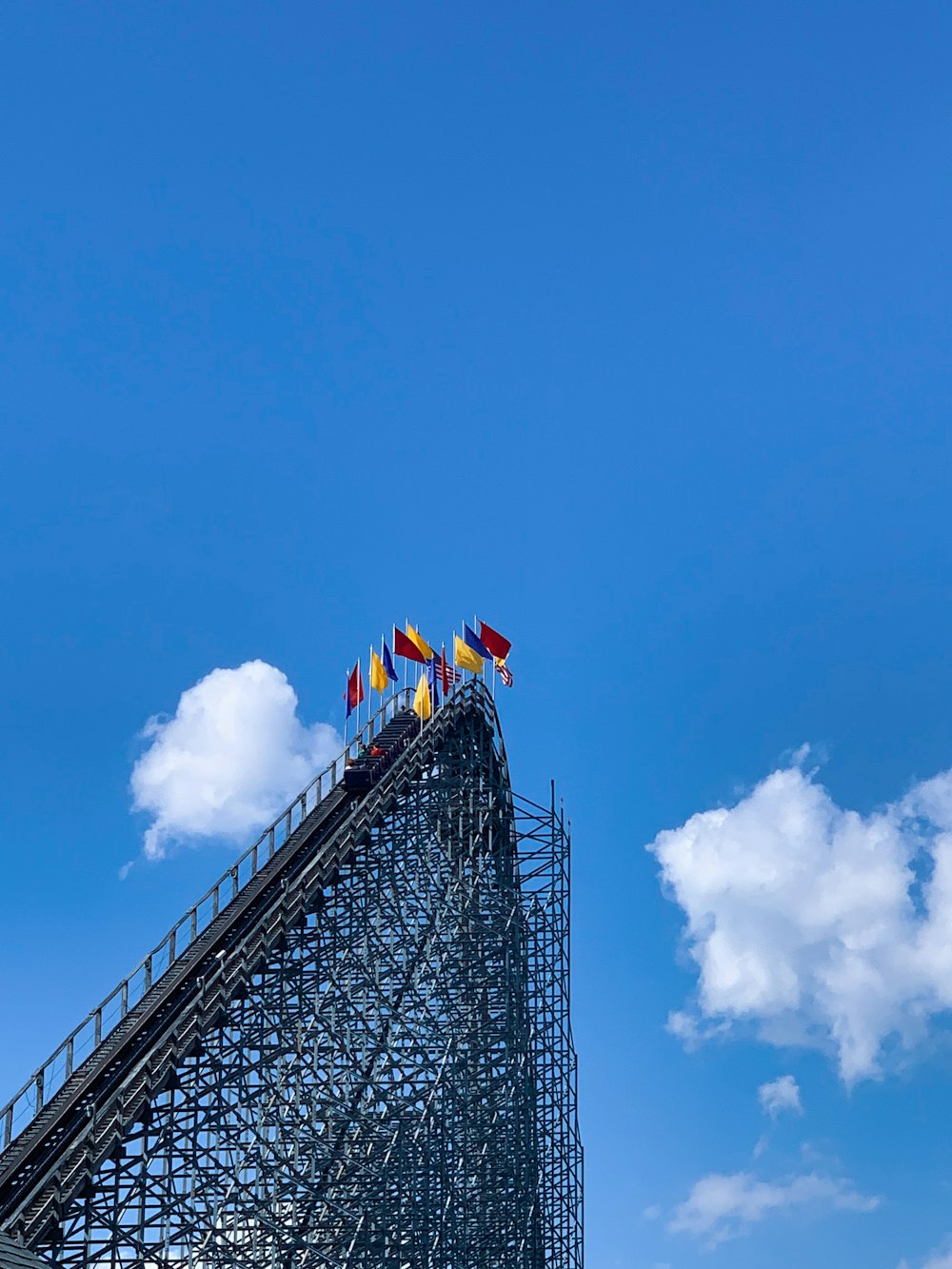 black and red bird flying under blue sky during daytime