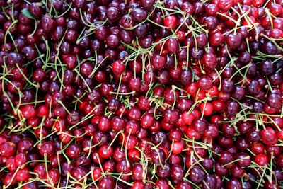 A large pile of ripe, red cherries with green stems intertwined.