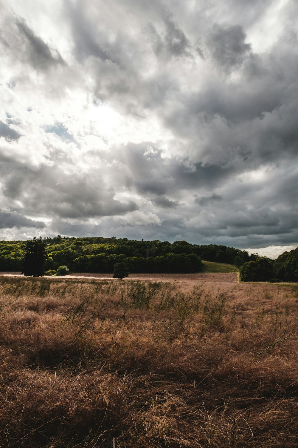 green grass field under cloudy sky during daytime