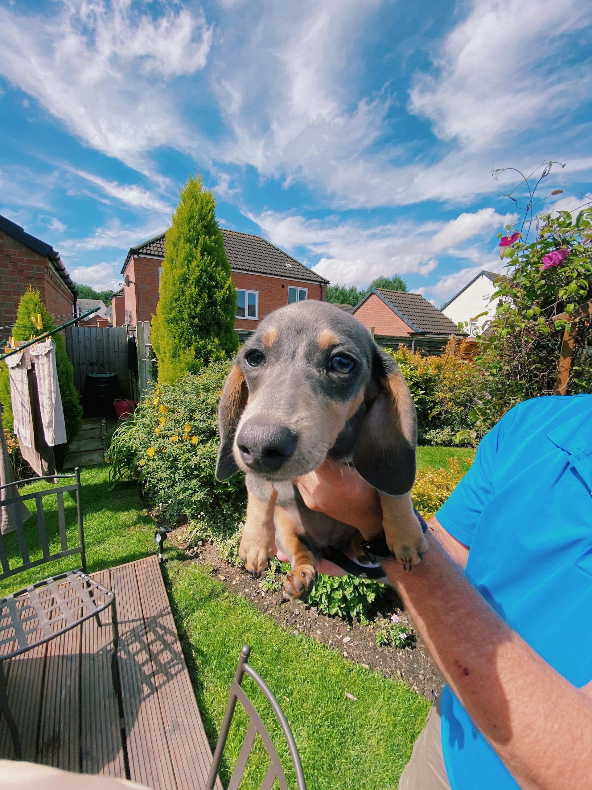 gray computer monitor