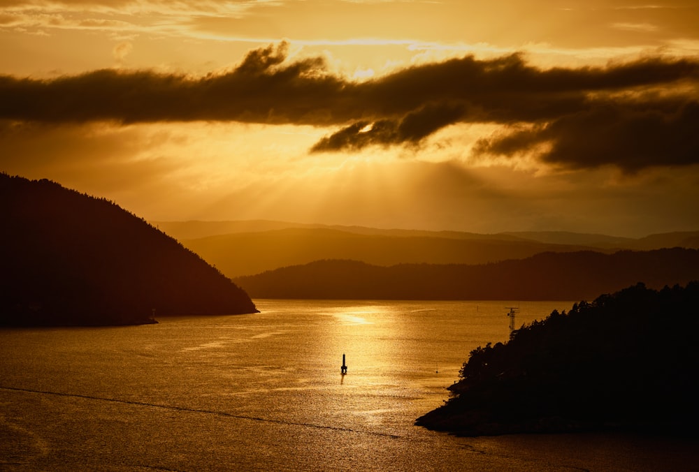 silhouette of trees near body of water during sunset