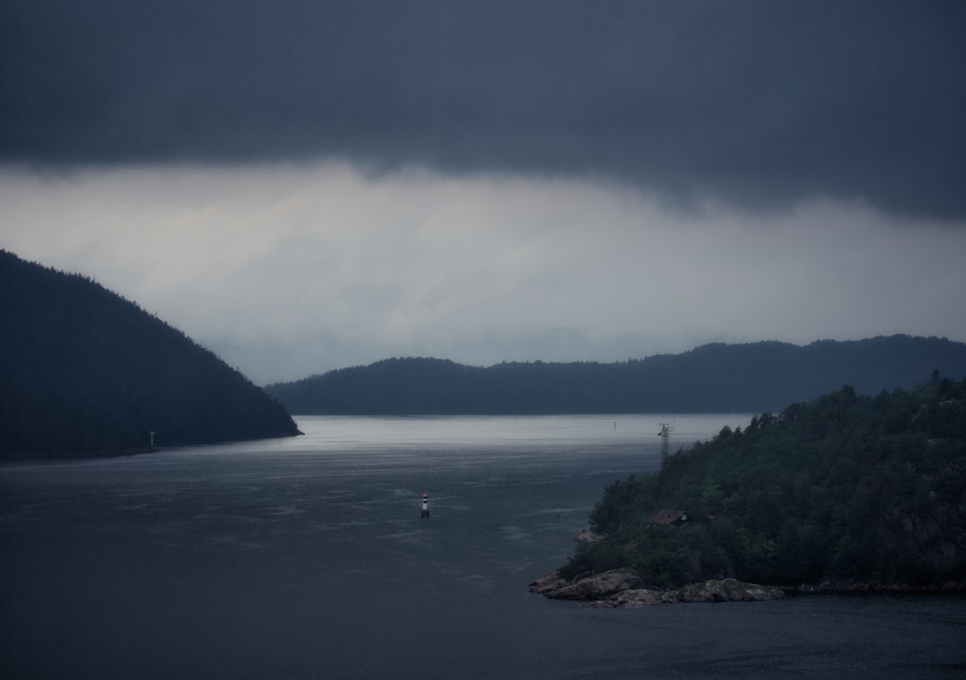 green trees near body of water under white clouds