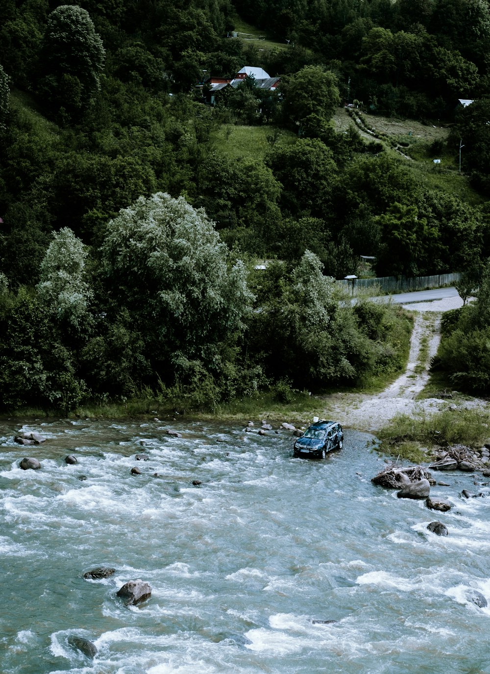 river in the middle of green trees