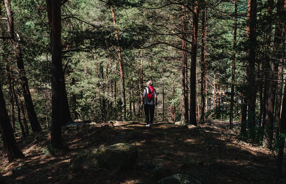 man in red jacket walking on forest during daytime