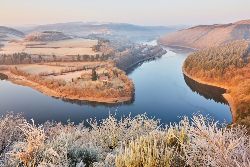 herbe brune près du lac pendant la journée