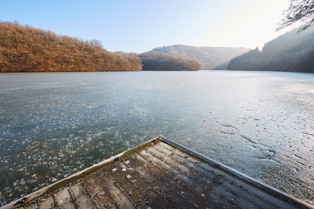 brown wooden dock on lake during daytime