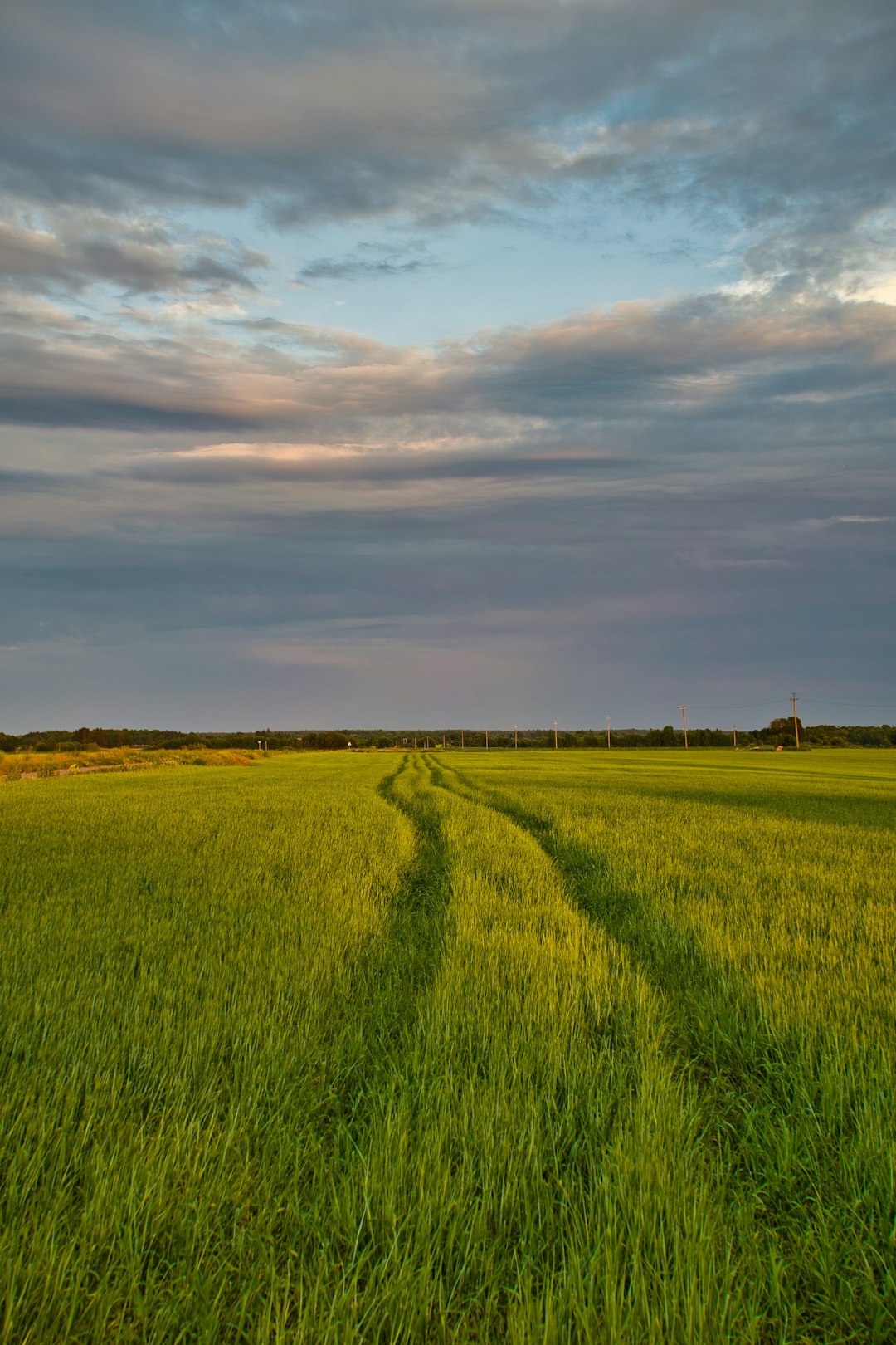 photo of Valkla Plain near Lahemaa National Park