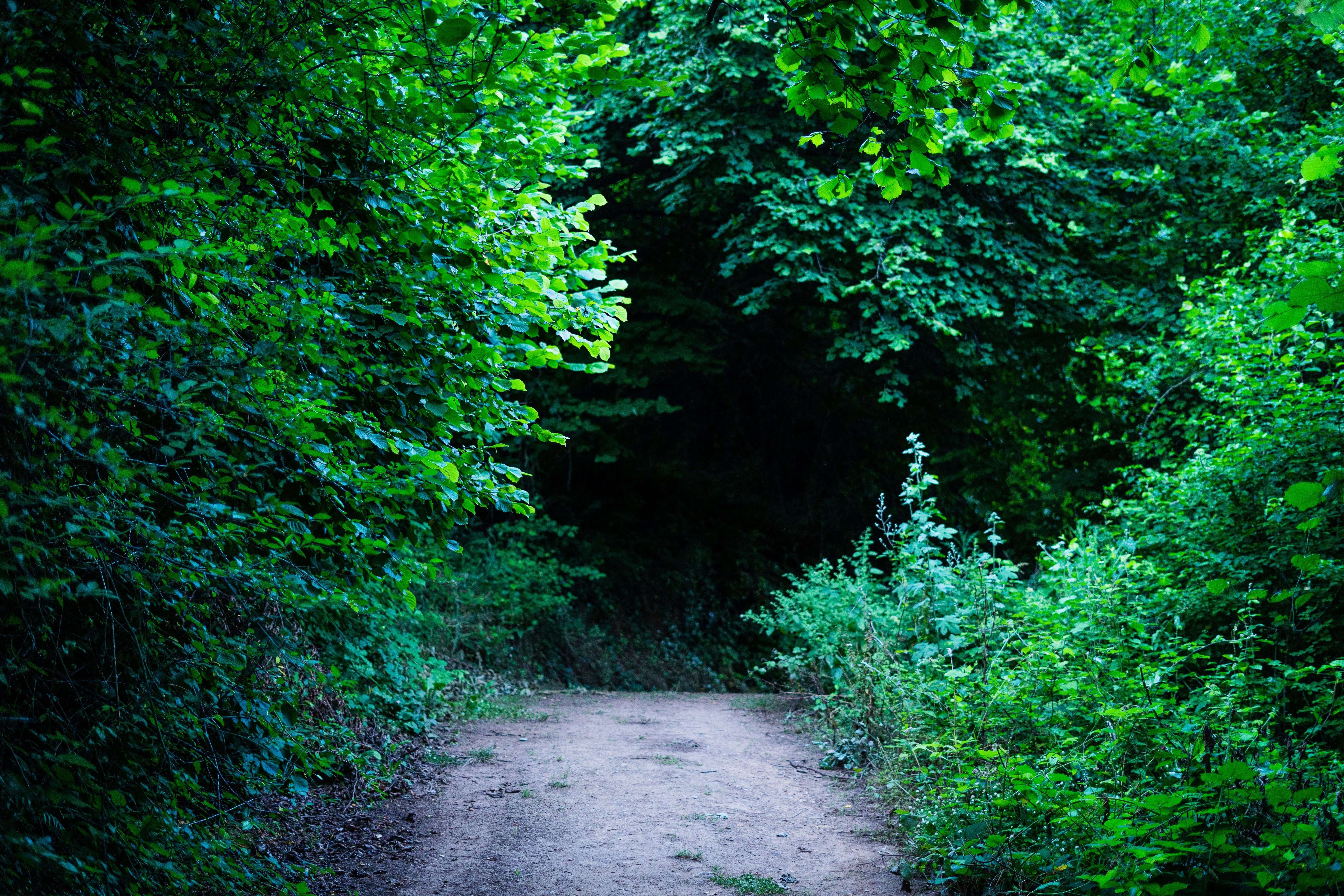 Photo by umityildirim