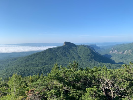 green trees on mountain under blue sky during daytime in Pisgah National Forest United States