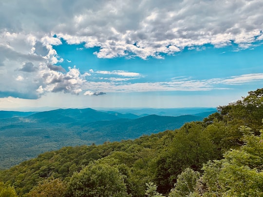 Pisgah National Forest things to do in Pisgah Forest