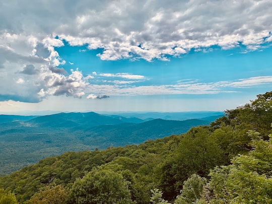 green trees near blue sea under blue sky and white clouds during daytime in Pisgah National Forest United States
