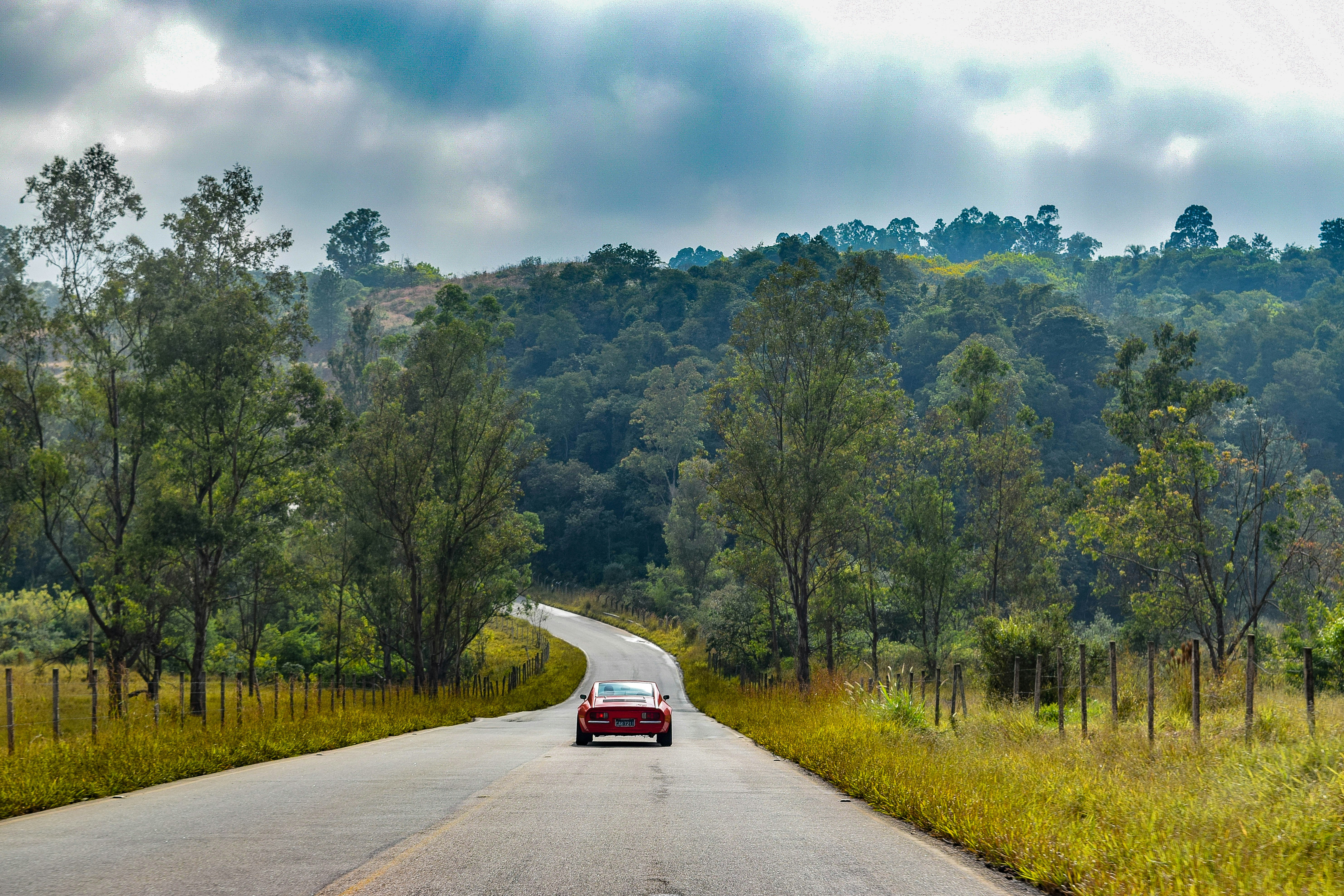 red car on road near green trees during daytime