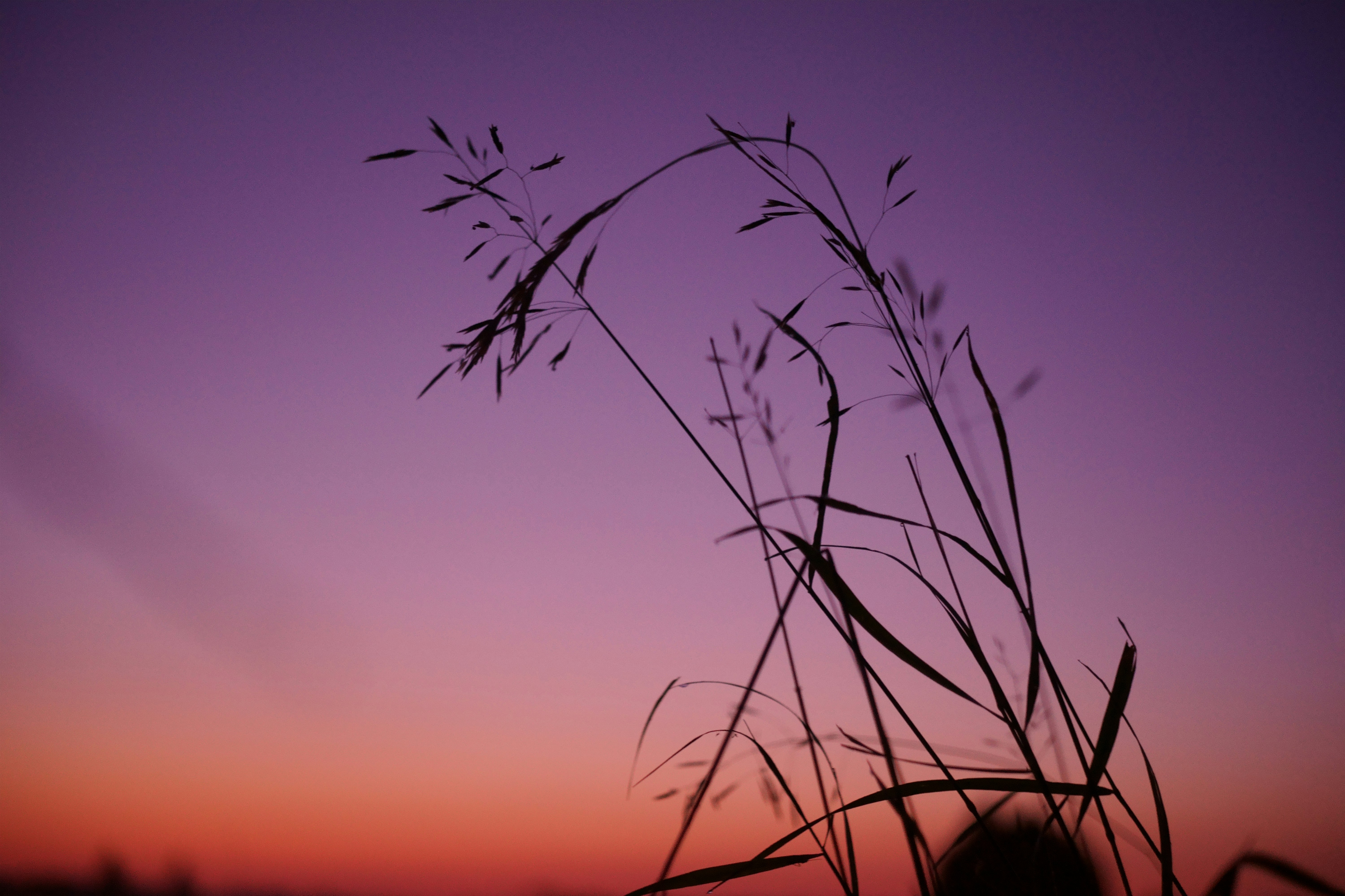 Photo by ivan_bolshakov