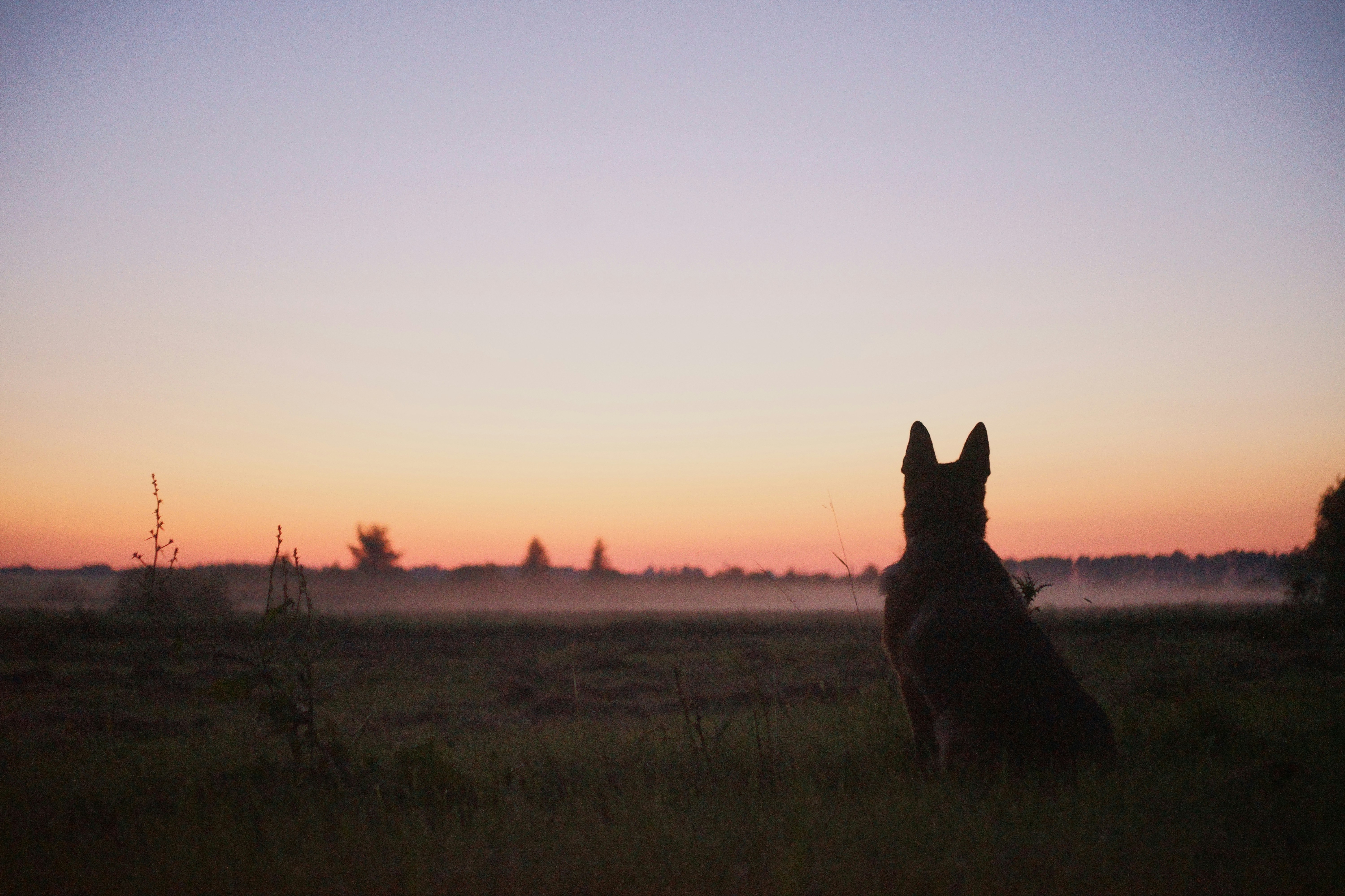 Photo by ivan_bolshakov