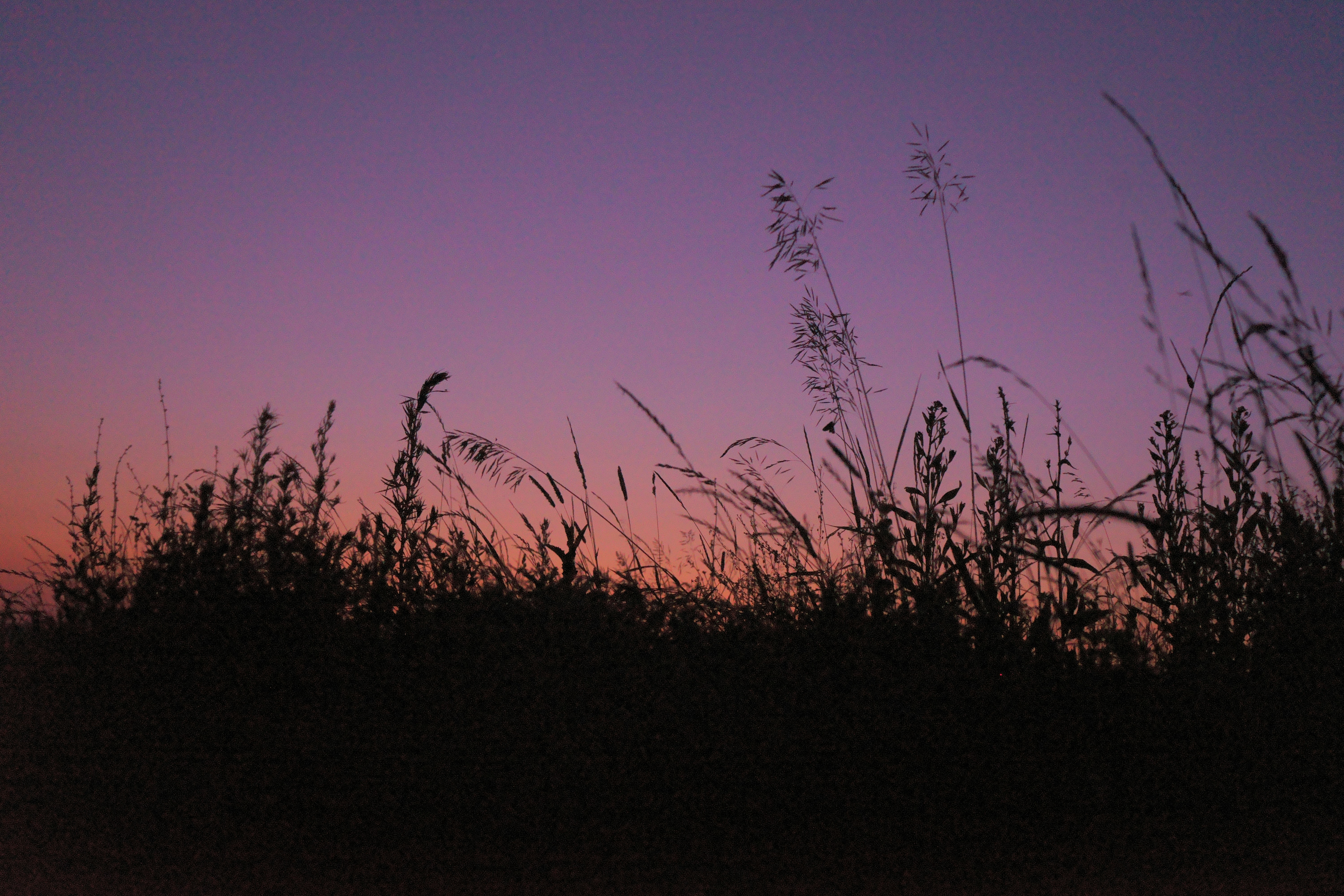 Photo by ivan_bolshakov