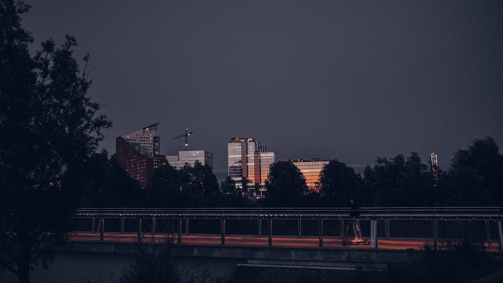 city skyline during night time