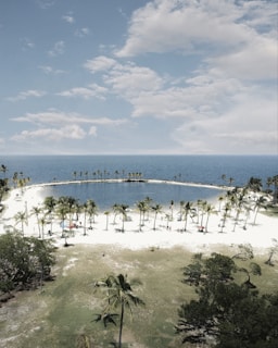 A tranquil, circular beach area surrounded by palm trees sits adjacent to a vast, calm ocean. The sandy shore is dotted with small groups of people under umbrellas enjoying the sunny day. Lush green grass and additional trees are visible in the foreground under a partly cloudy blue sky.
