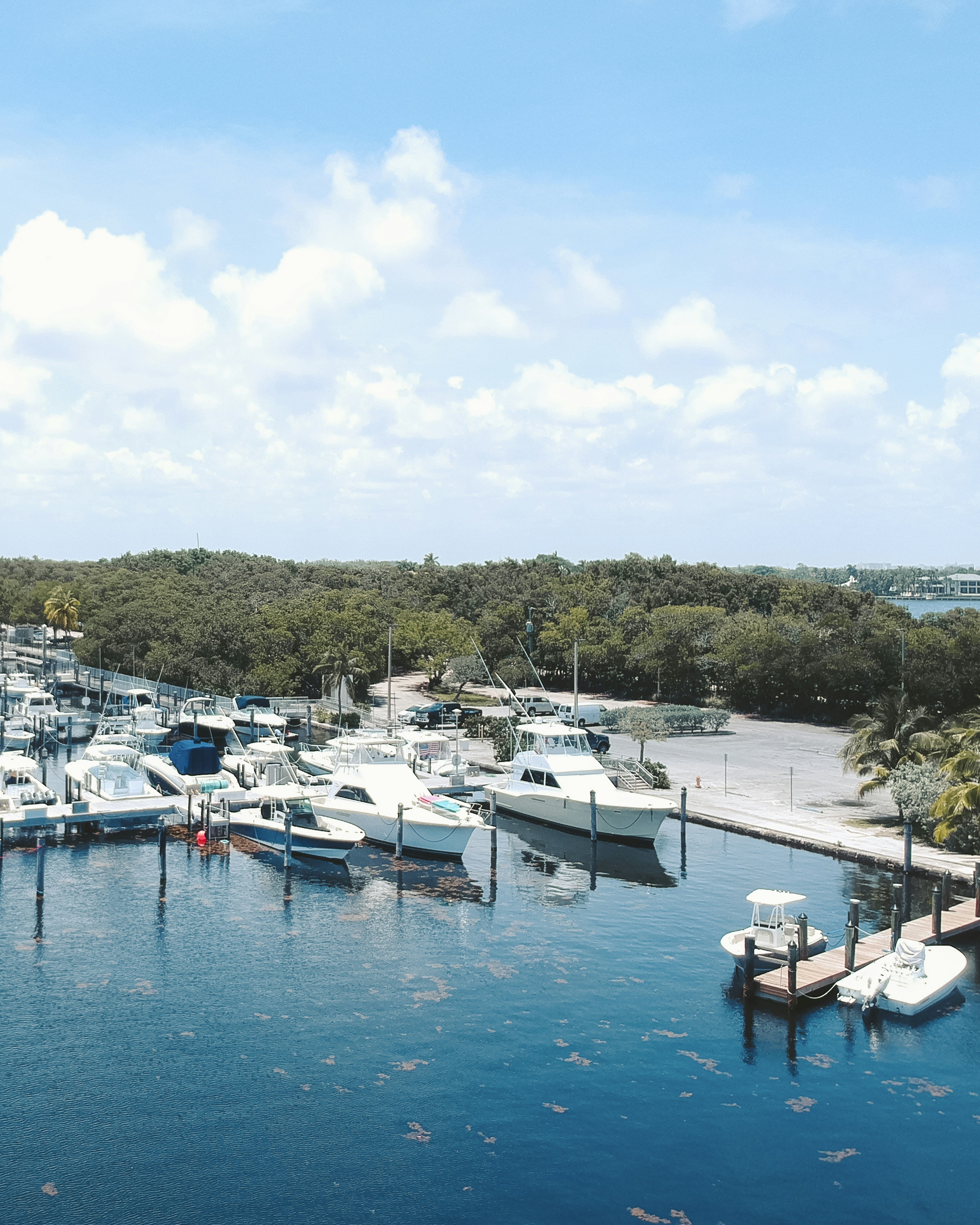 Photo by jphotomedia