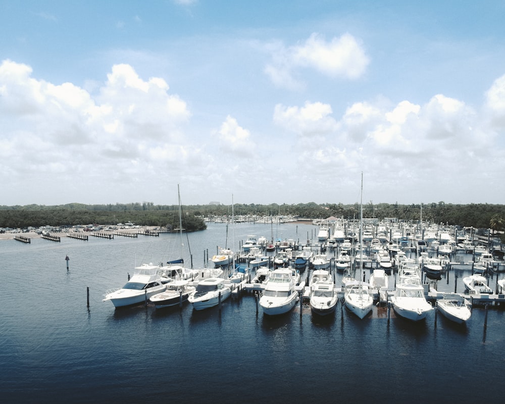 white and blue boats on sea under blue sky during daytime