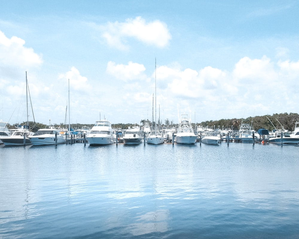 white and blue boats on sea under blue sky during daytime