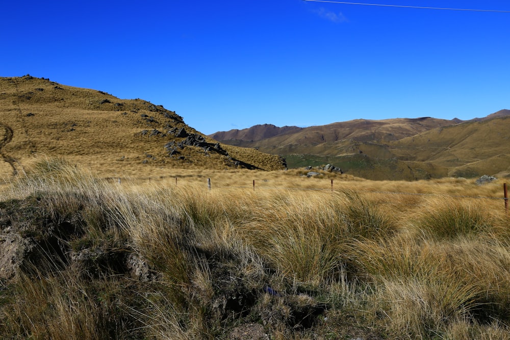brown grass field near brown mountain under blue sky during daytime