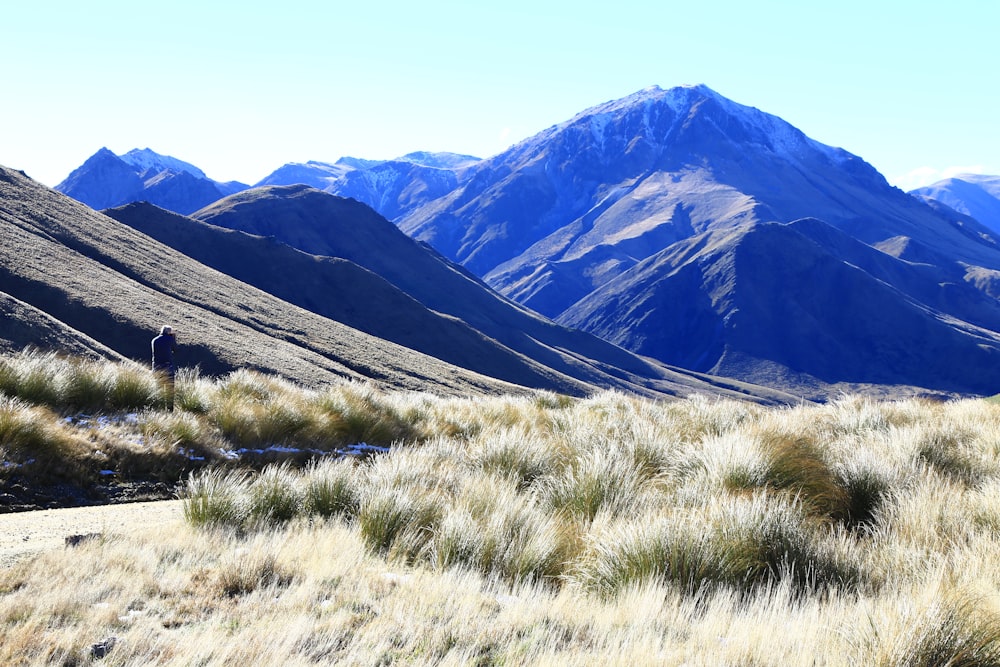 green grass field and mountains during daytime