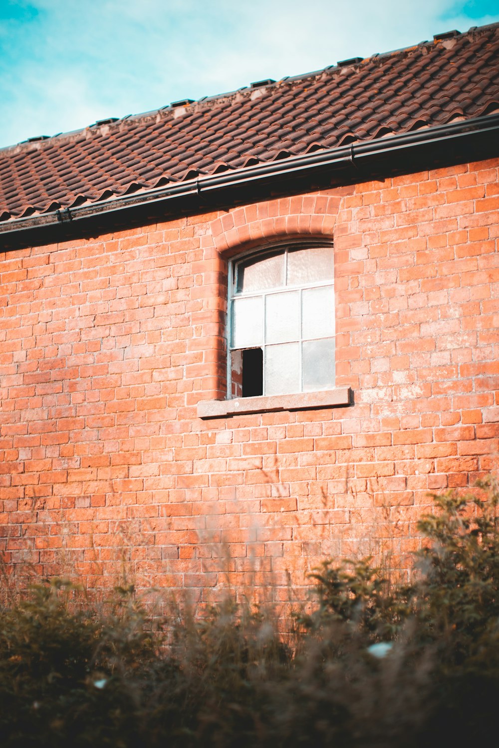 brown brick wall with white window