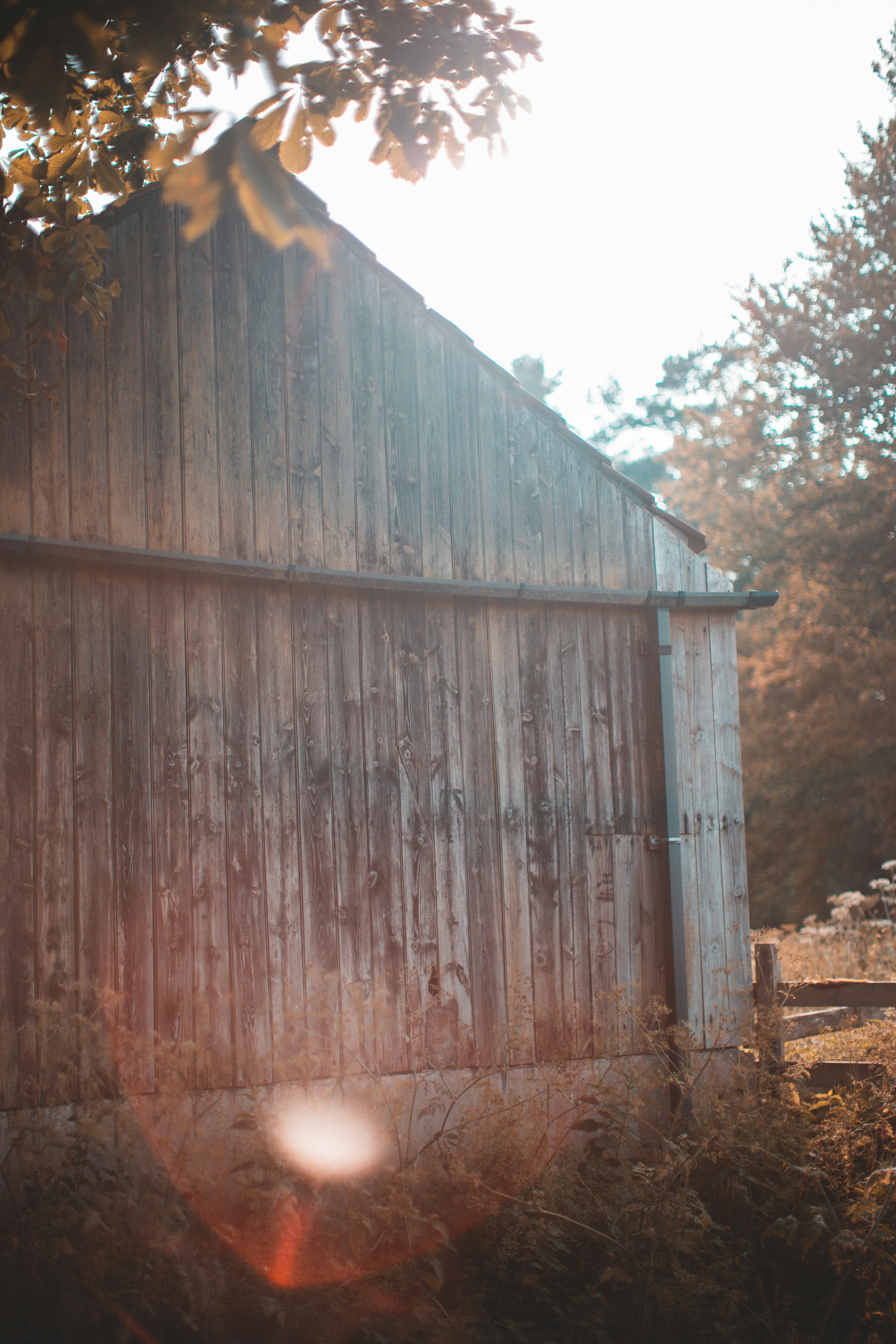 Photo by domheartley