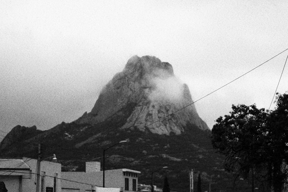 grayscale photo of mountain and trees