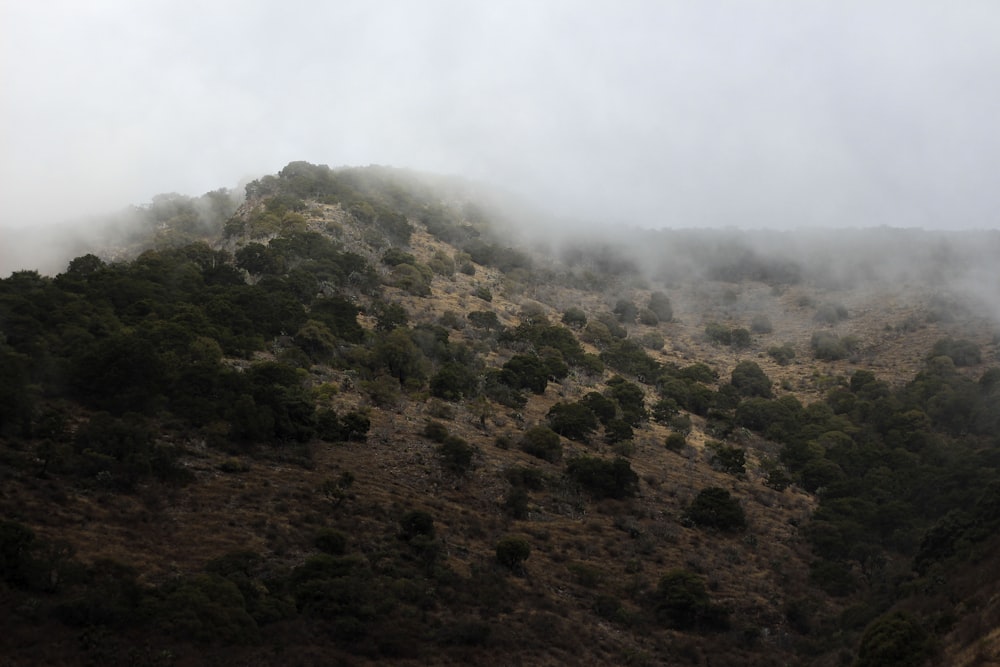 green and brown mountain under white clouds