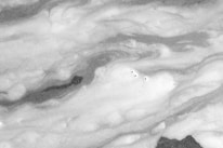 Swirling patterns of foam on the surface of liquid with a few small bubbles dispersed throughout. The textures are varied, giving a flowing appearance to the foam.