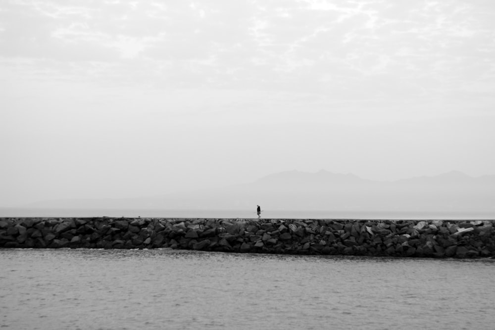 person standing on rock near sea during daytime